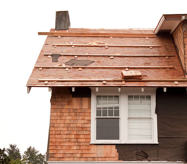 Reliable Alamance, NC Siding Solutions